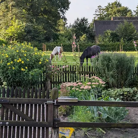 Σπίτι διακοπών Jantzen Wingst