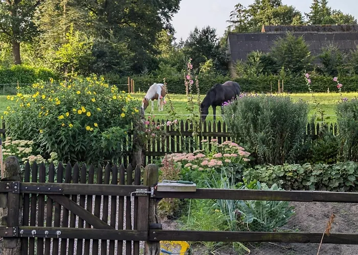 Сasa de vacaciones Jantzen Wingst