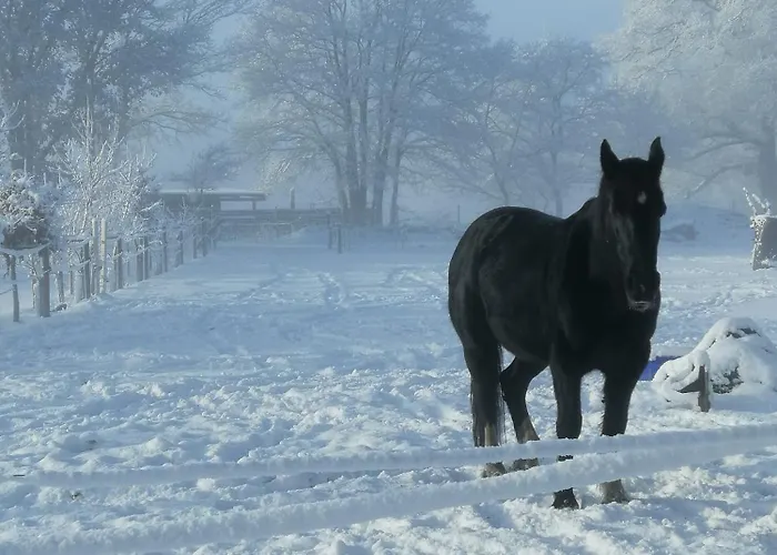 Сasa de vacaciones Jantzen *